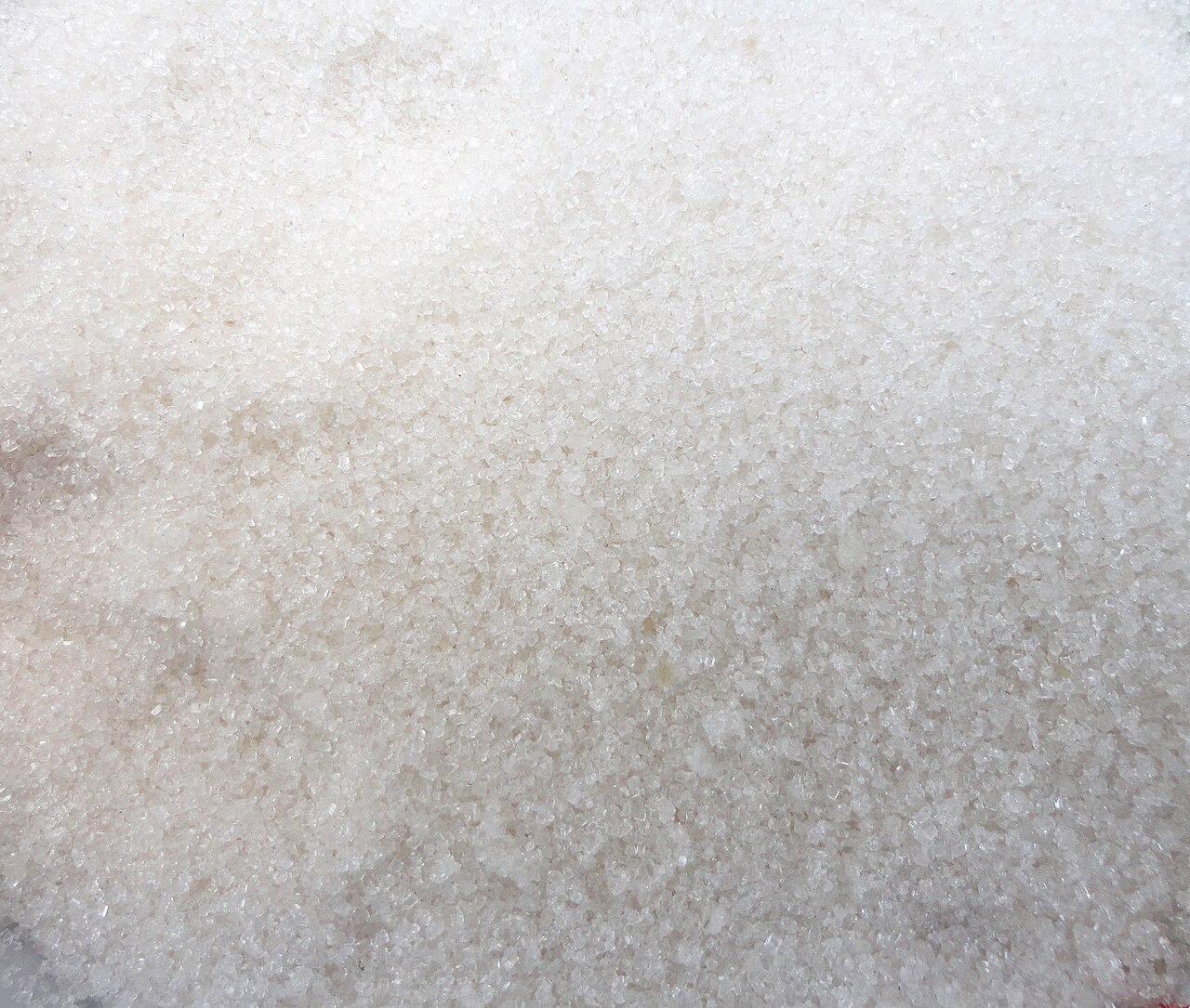 Refined White Sugar bulk wholesale supply