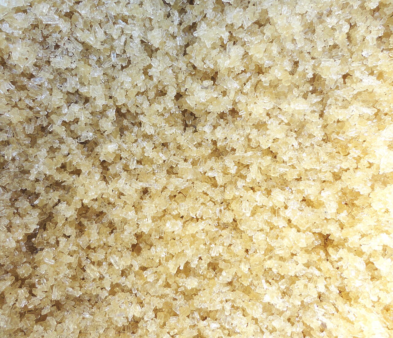 Raw Cane Sugar bulk wholesale supply