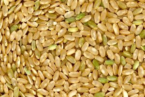 Uncooked brown rice grains