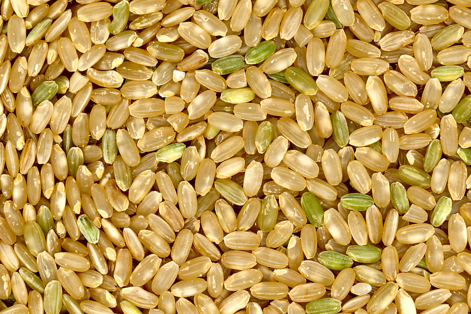 Brown Rice wholesale product