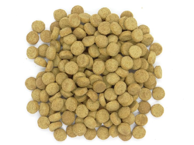 Dry cat food kibble product photo