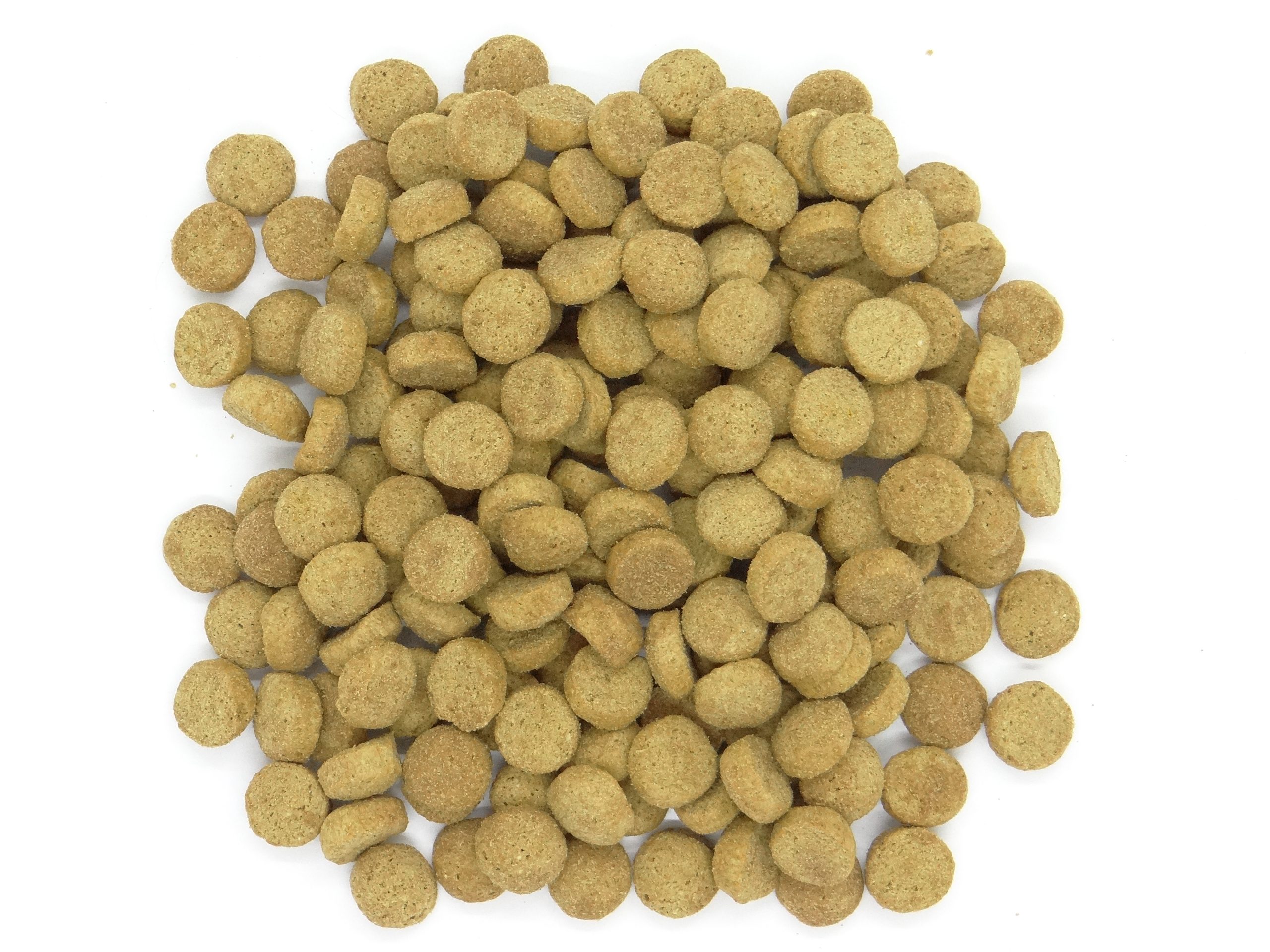 Dry Cat Food Wholesale pack for wholesale and international export