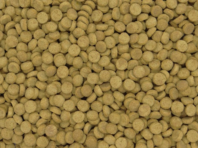 Adult cat food kibble product photo