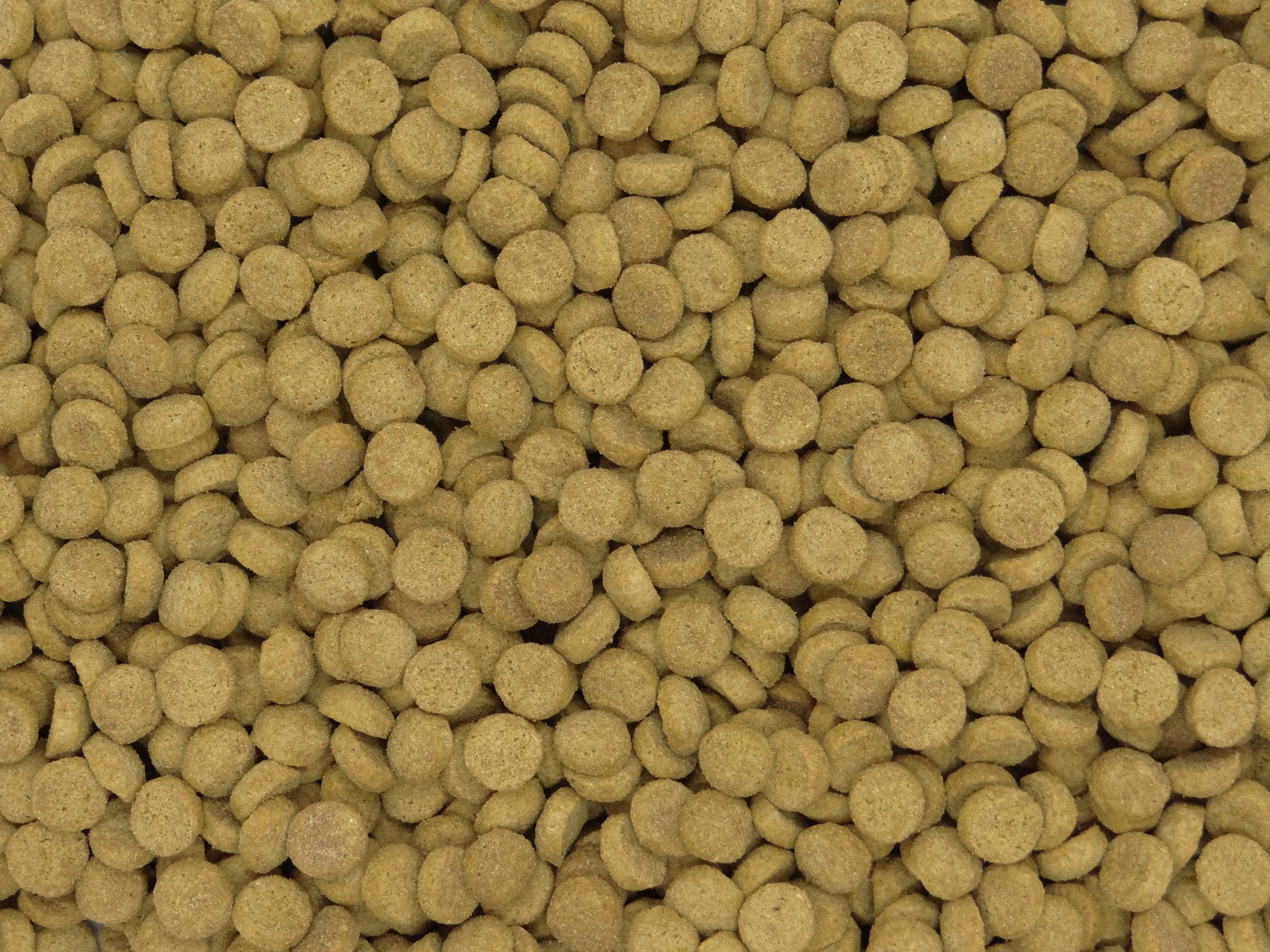 Adult Cat Food Wholesale