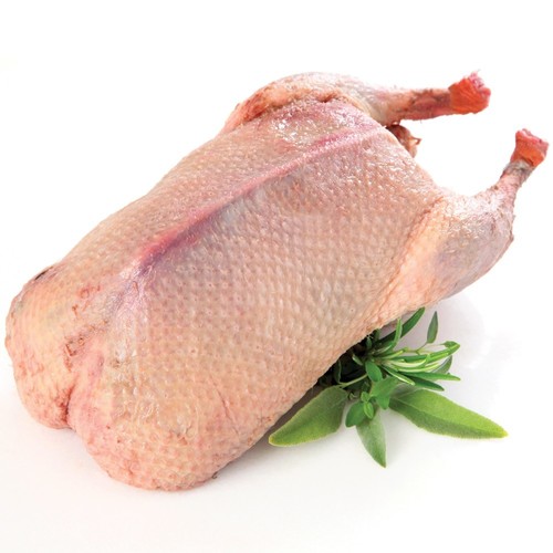 Halal Duck Meat Wholesale Export Enquiry product photo