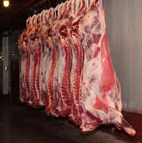 Halal Frozen Lamb Carcasses Wholesale product photo