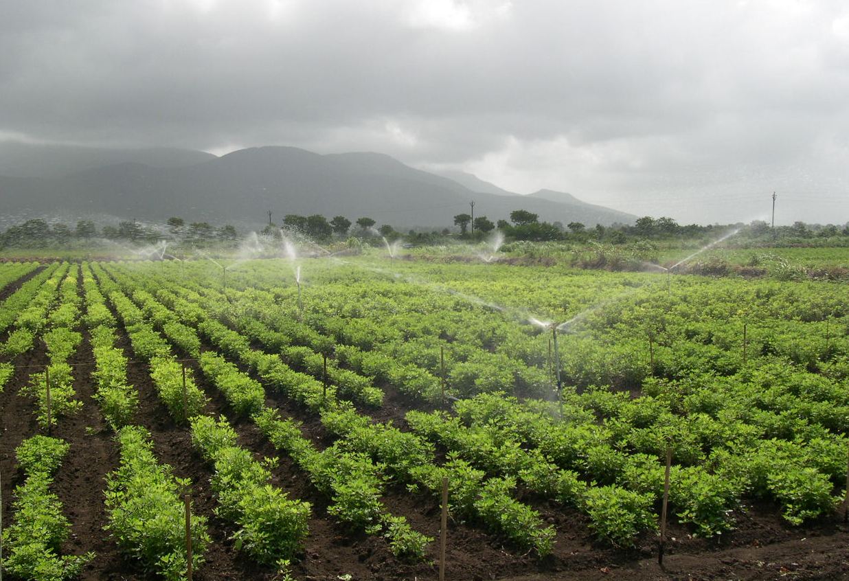 Agricultural Sprinkler Irrigation Systems Wholesale