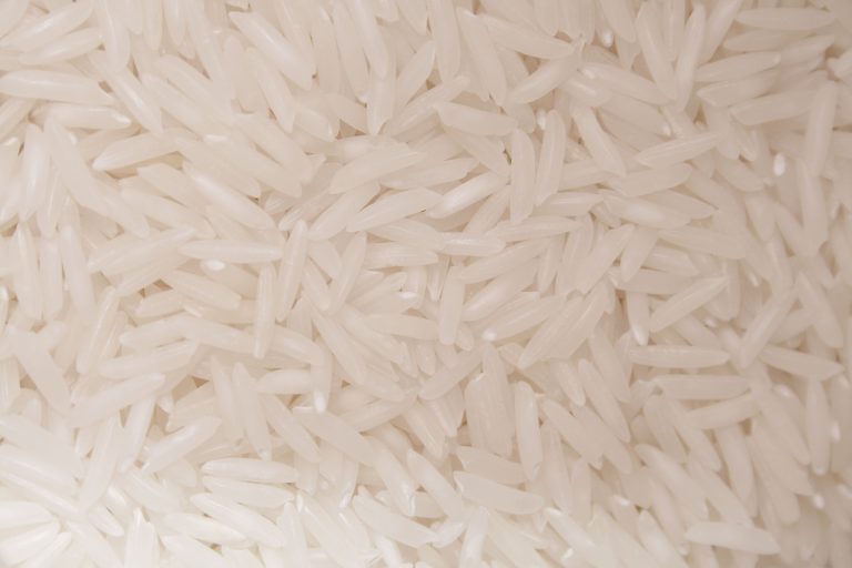 Uncooked jasmine rice grains