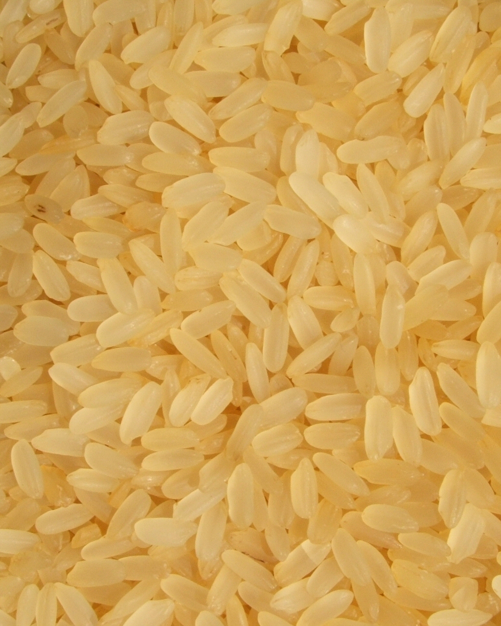 Parboiled Rice wholesale product