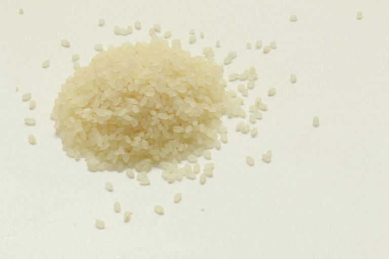 Short-grain Japonica rice grains