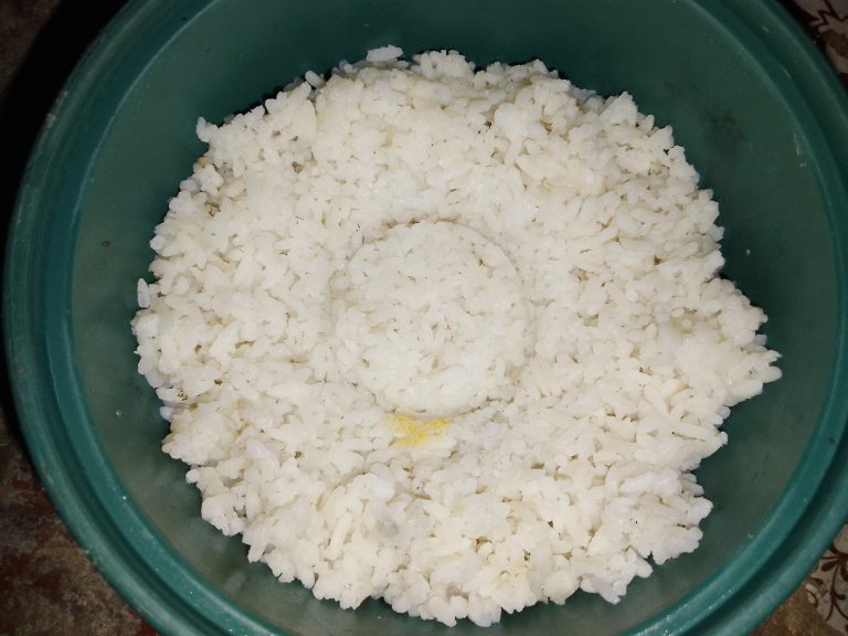 Uncooked white rice grains as a representative non-basmati reference