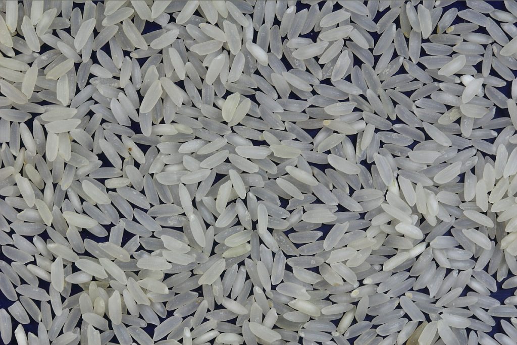 Uncooked rice grains as a representative rice wholesale category image