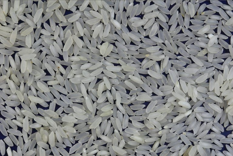 White rice grains
