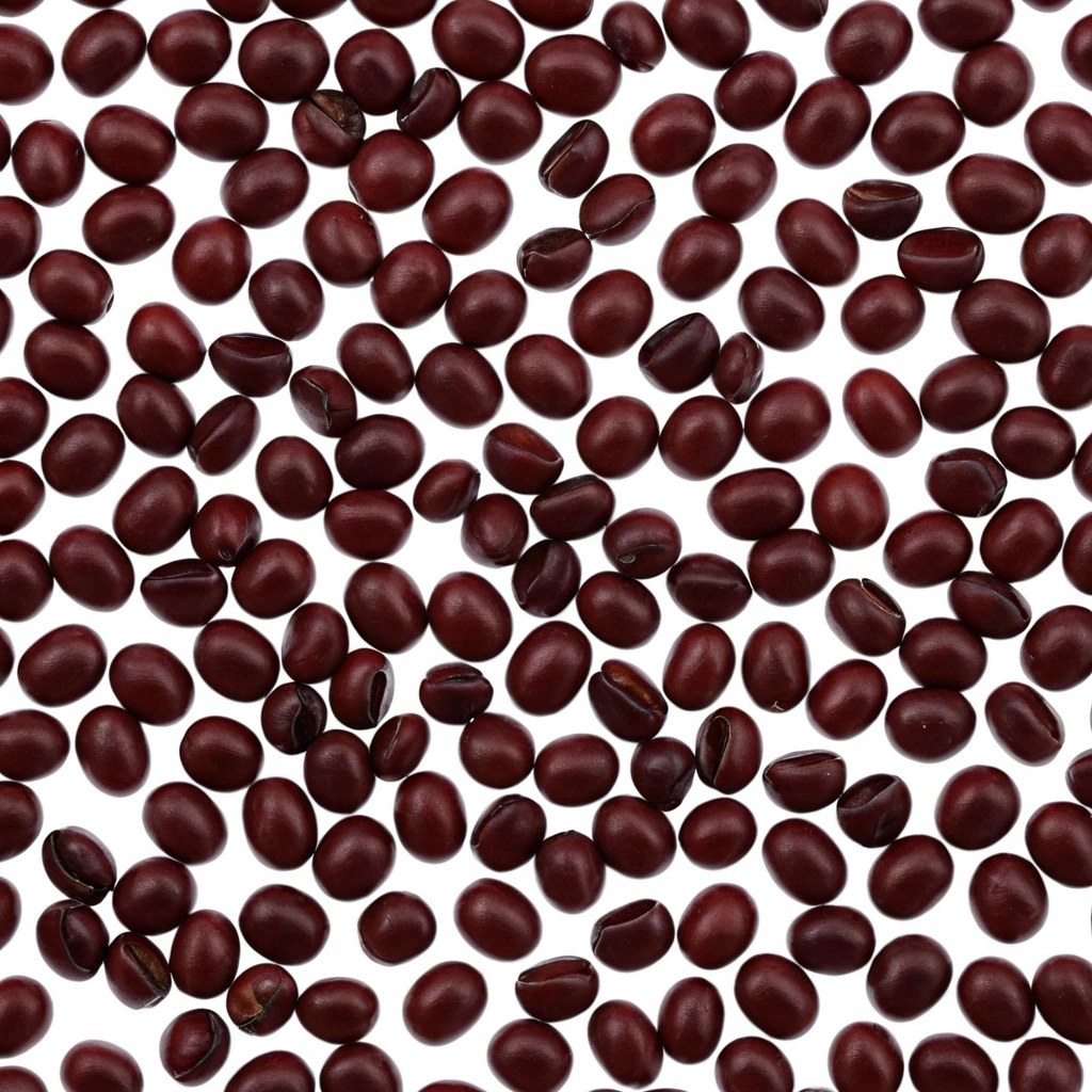 Adzuki Beans Wholesale