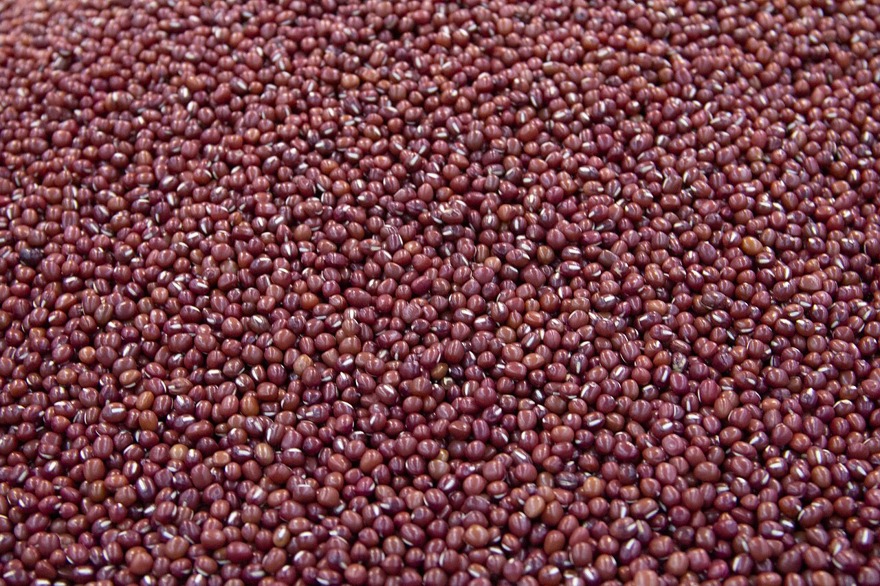 Adzuki Beans Wholesale | Bulk B2B Supply