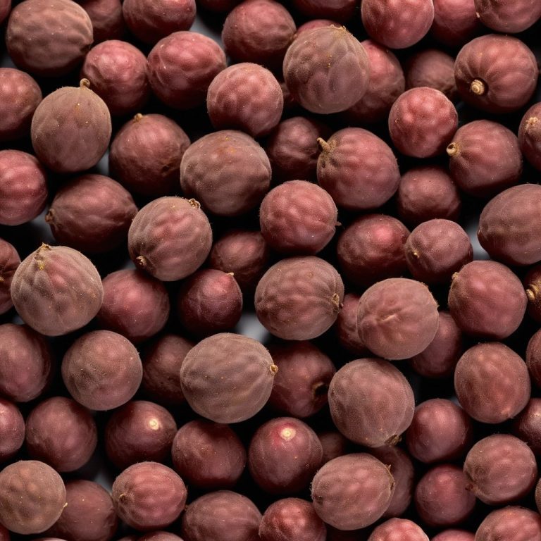 Allspice Berries – Whole Pimento, 25 kg Bags, Bulk Export