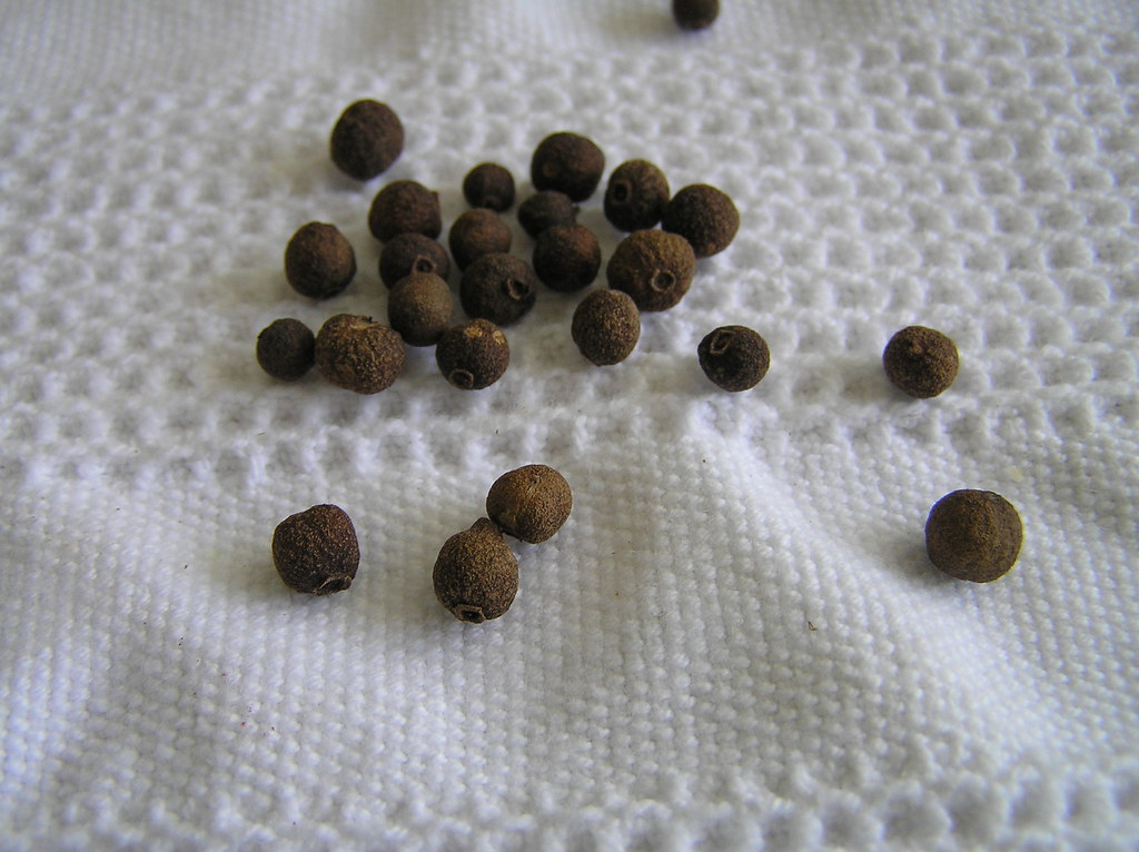 Allspice Berries Wholesale | Bulk B2B Supply