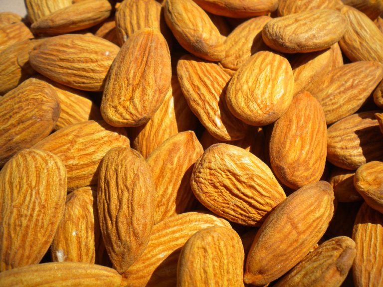 Almonds Wholesale | Bulk B2B Supply