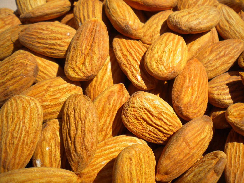 Almonds Wholesale | Bulk B2B Supply