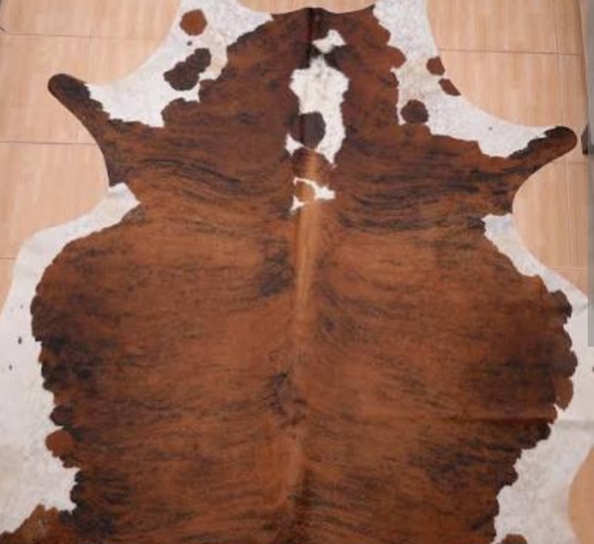 Calfskins for Leather Manufacturing Wholesale