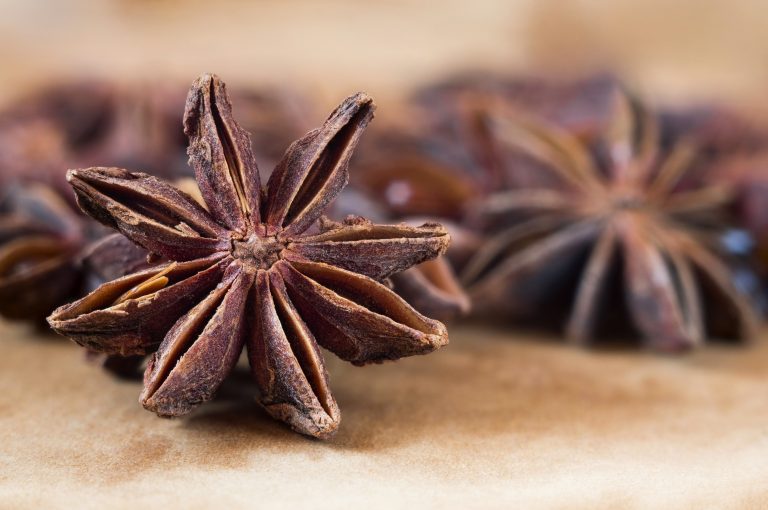 Anise Seeds Wholesale | Bulk B2B Supply