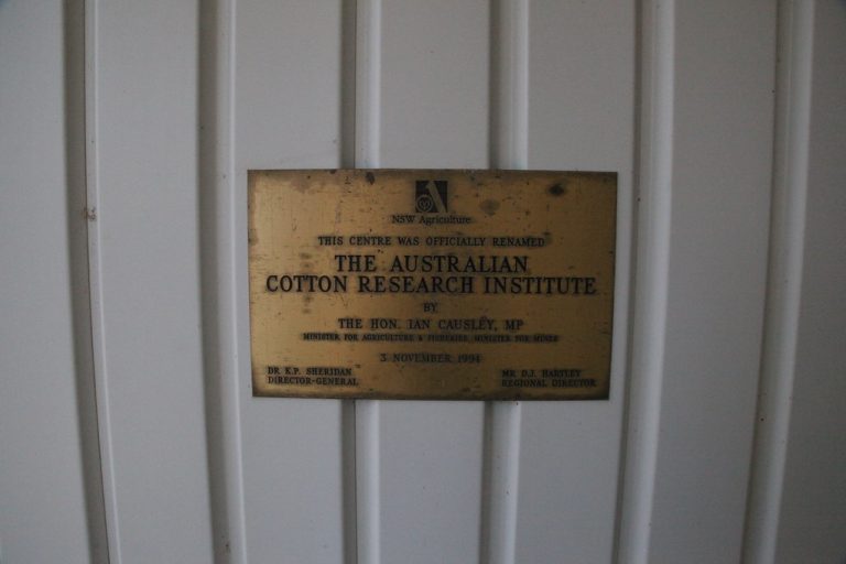 Australian Cotton Wholesale | Bulk B2B Supply