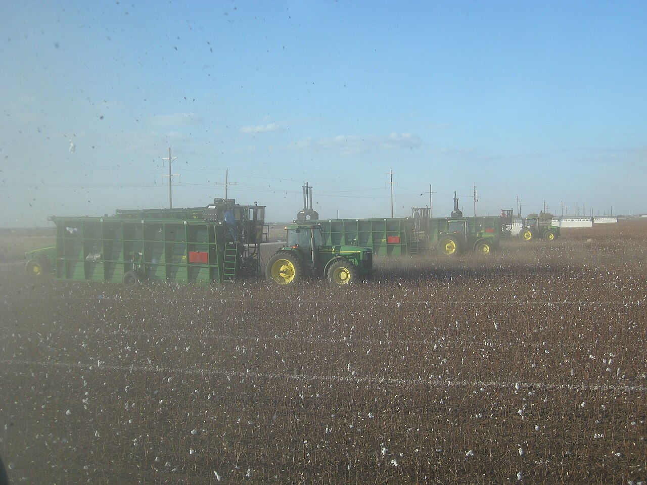 Australian Cotton Wholesale | Bulk B2B Supply
