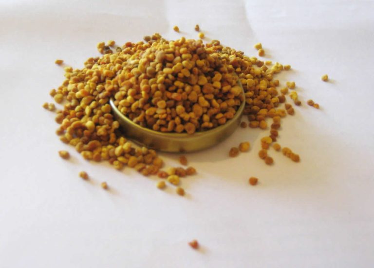 Bee Pollen Powder Wholesale | Bulk B2B Supply