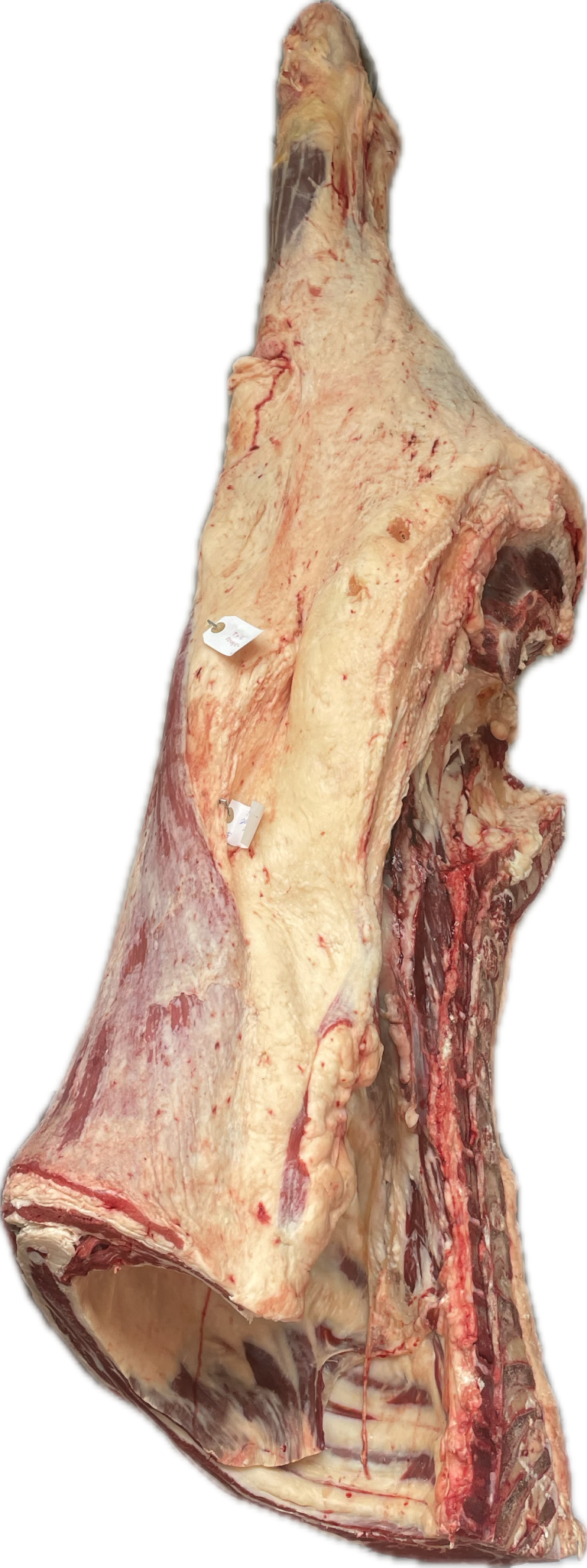 Beef Hindquarter Wholesale