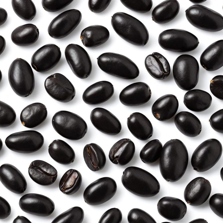 Black Beans Wholesale