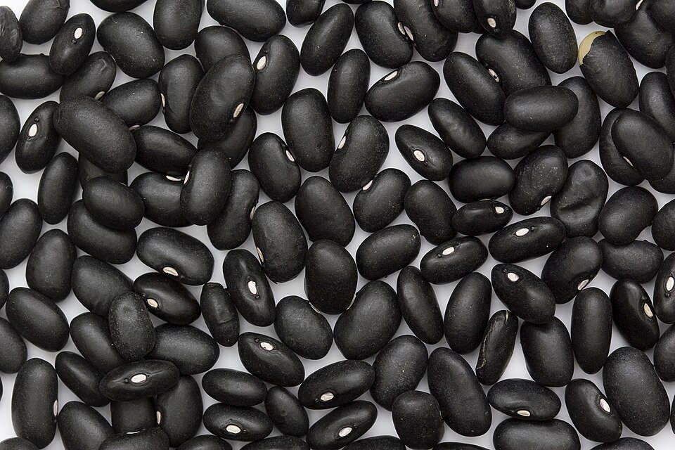 Black Beans Wholesale | Bulk B2B Supply