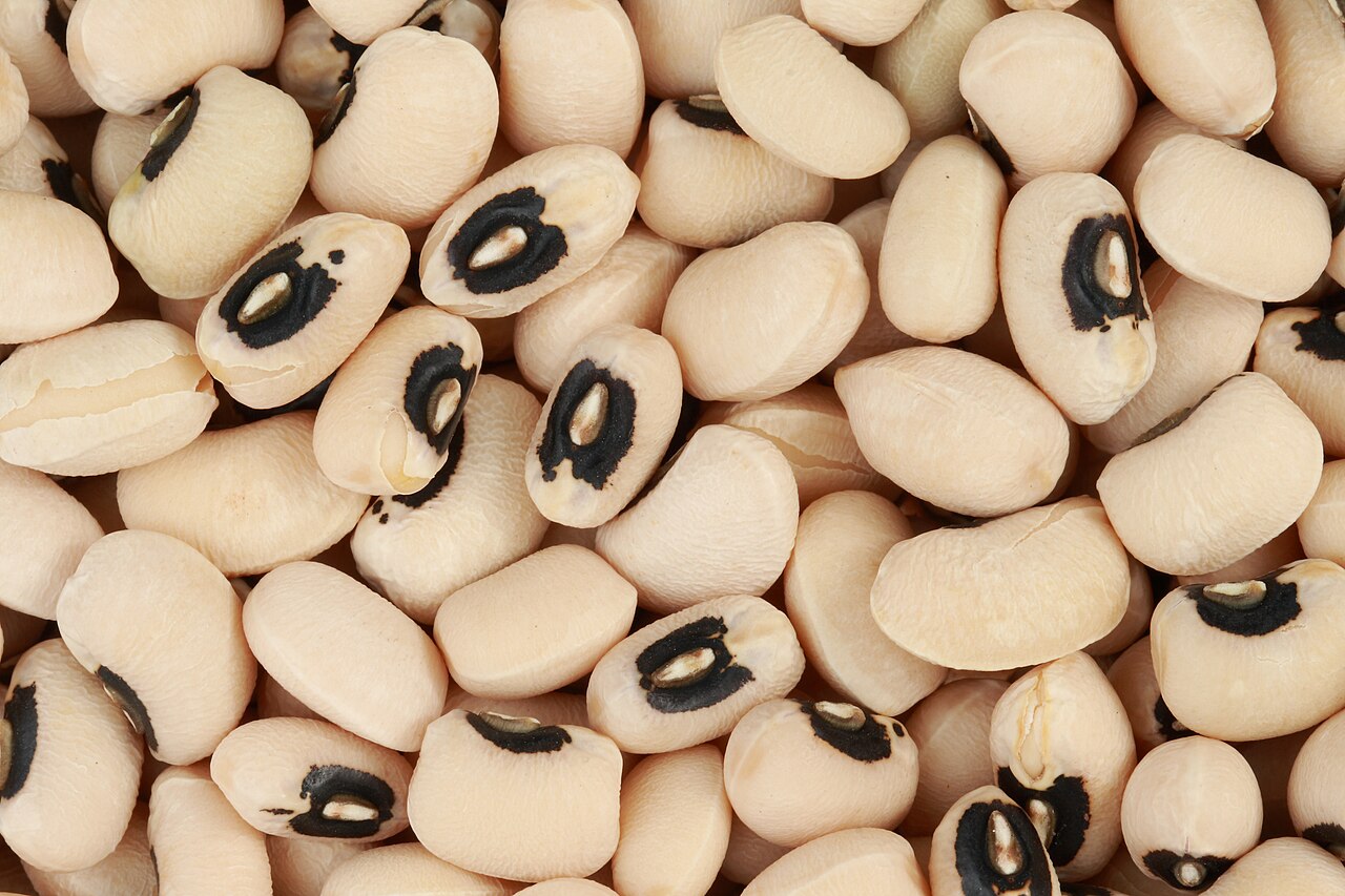 Black-Eyed Peas Wholesale wholesale product