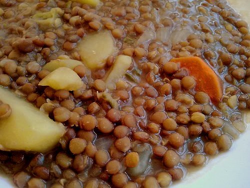 Black Lentils Wholesale | Bulk B2B Supply