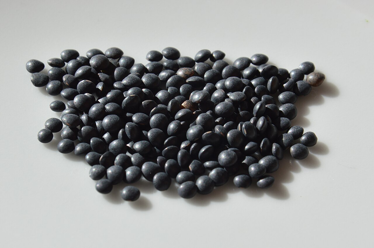 Black Lentils Wholesale | Bulk B2B Supply