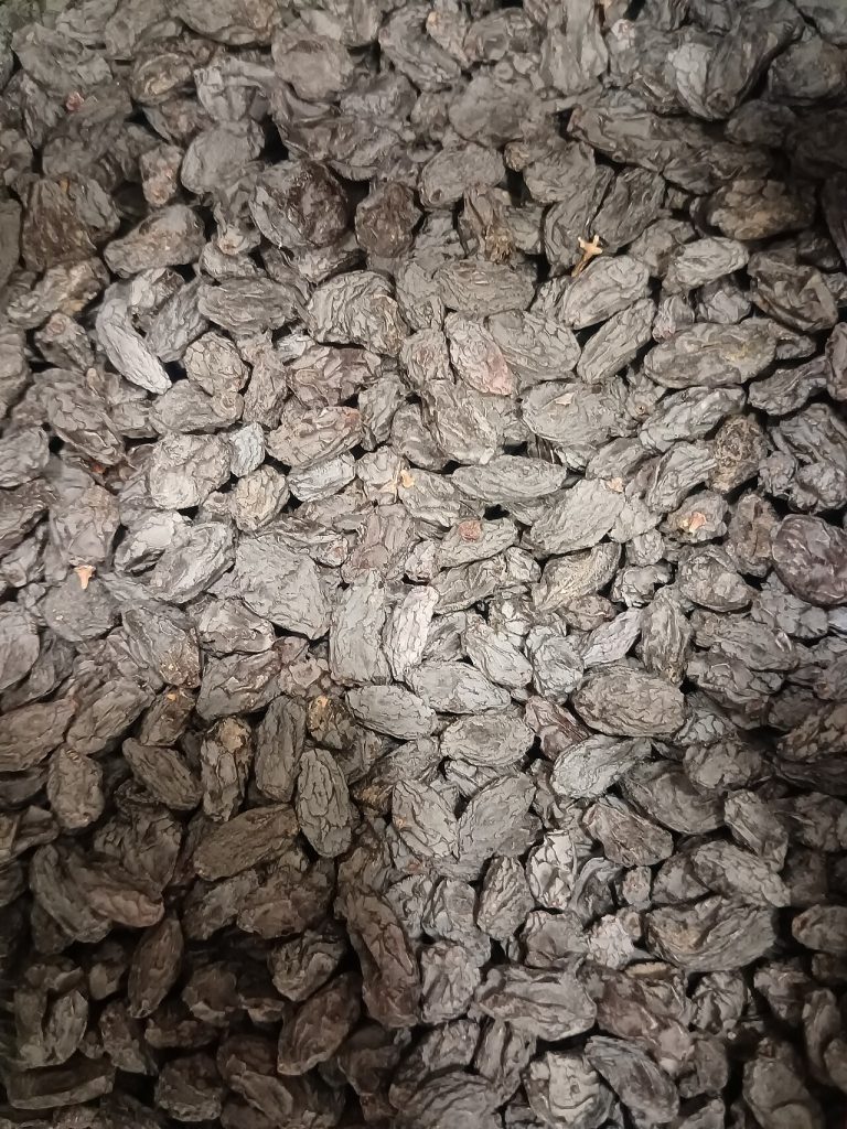 Black Raisins Wholesale