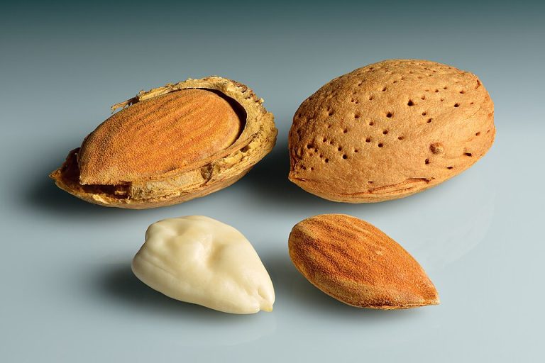 Blanched Almonds Wholesale