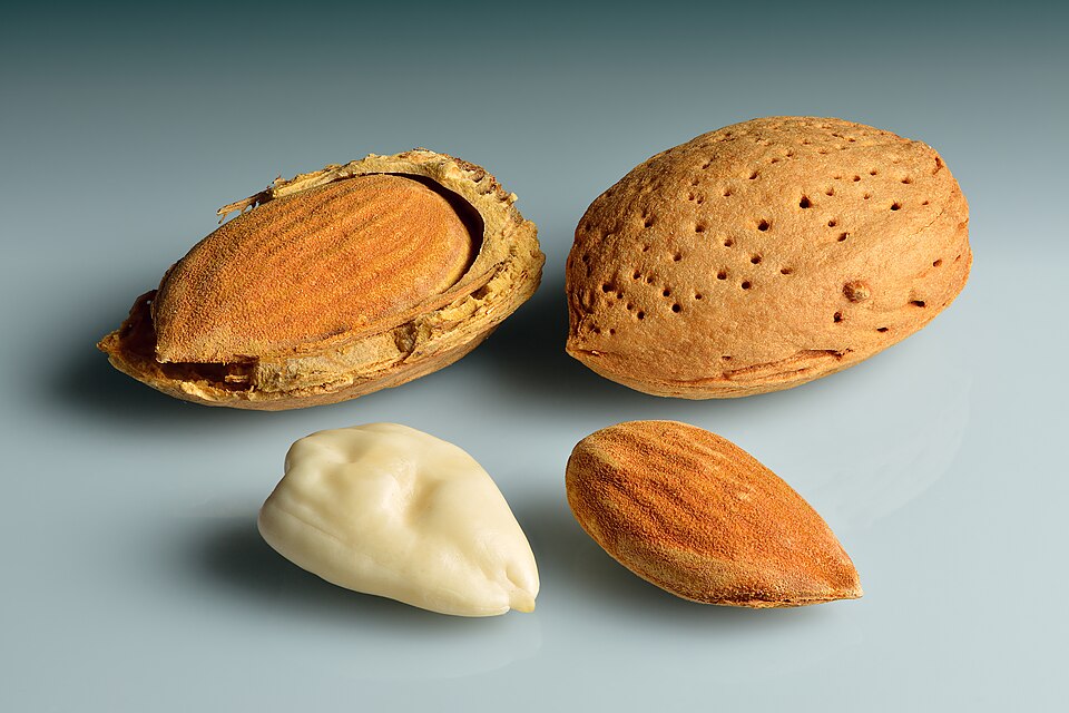 Blanched Almonds