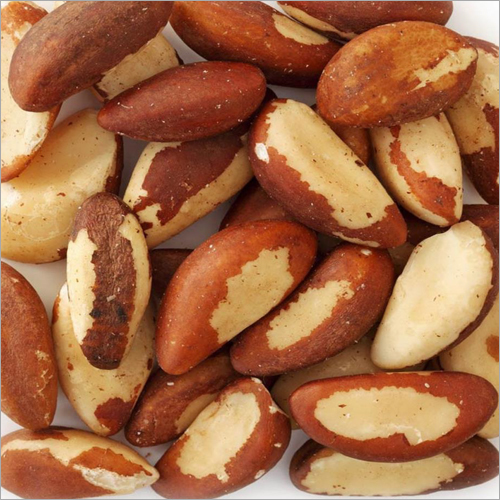 Brazil Nuts Wholesale