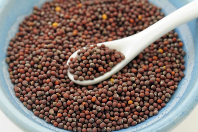 Brown Mustard Seeds Wholesale