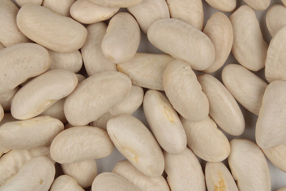 Cannellini Beans