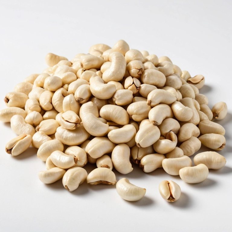 Cashew Kernels Wholesale