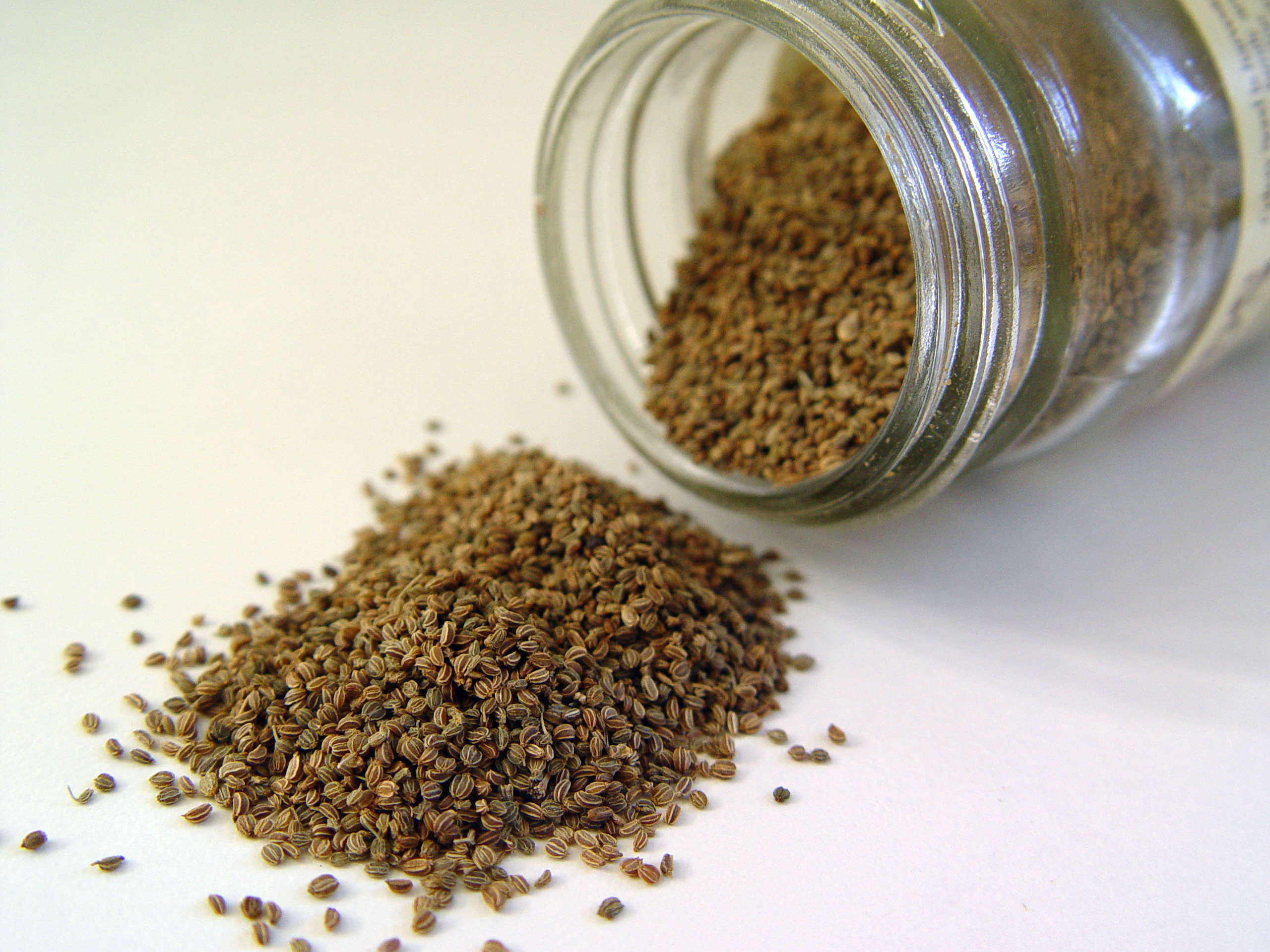 Celery Seeds wholesale product name text; no product image requested