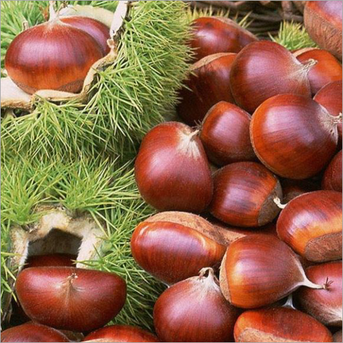 Chestnuts