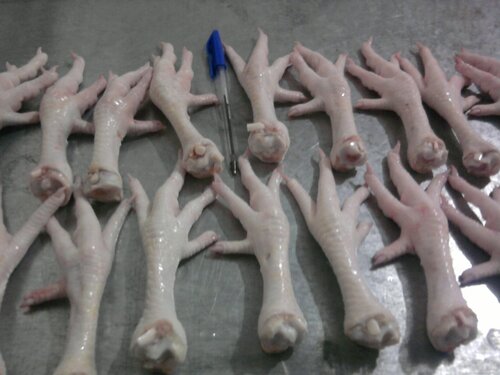 Chicken Feet Wholesale pack for wholesale and international export