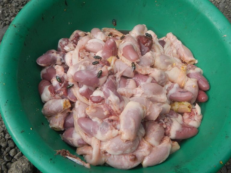 Chicken Hearts Wholesale