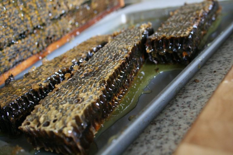 Comb Honey Wholesale | Bulk B2B Supply