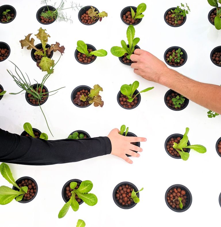 Commercial Vertical Farm Hydroponic Tower Bundle Wholesale