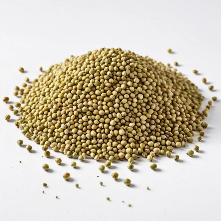 Coriander Seeds Wholesale