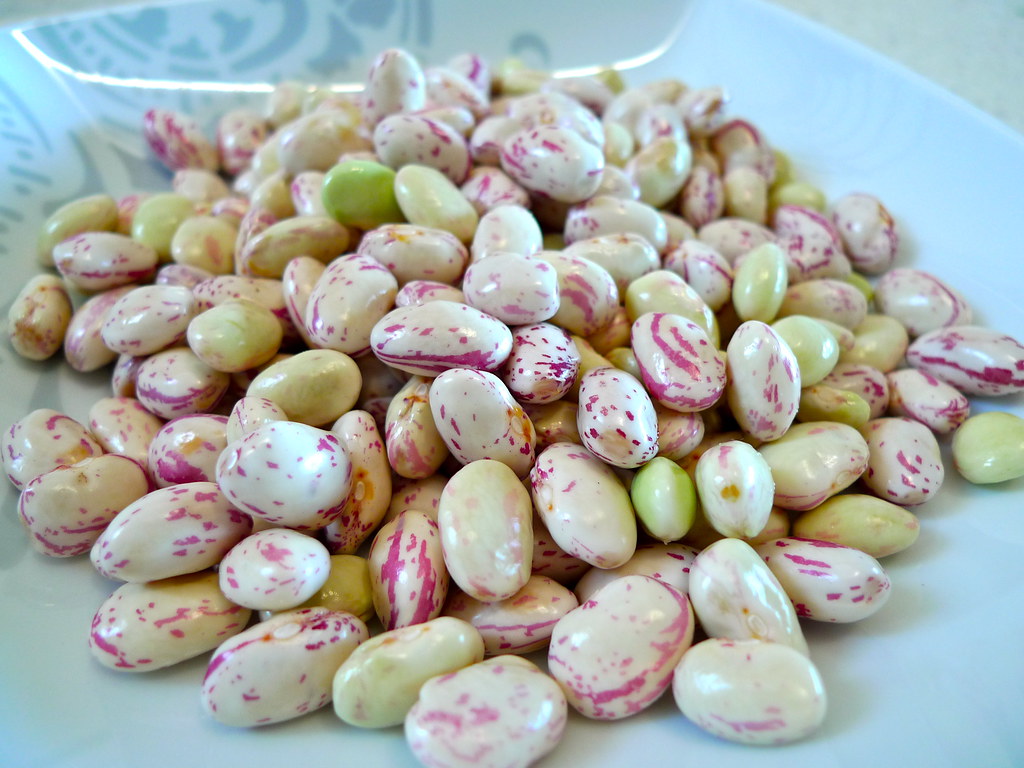 Cranberry Beans Wholesale wholesale product
