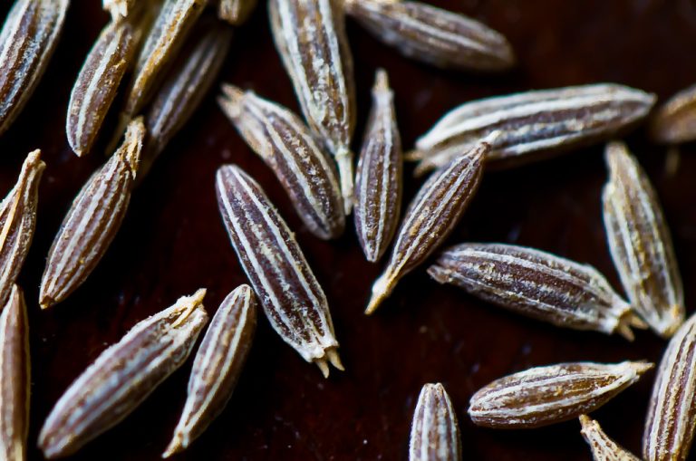 Cumin Seeds Wholesale | Bulk B2B Supply
